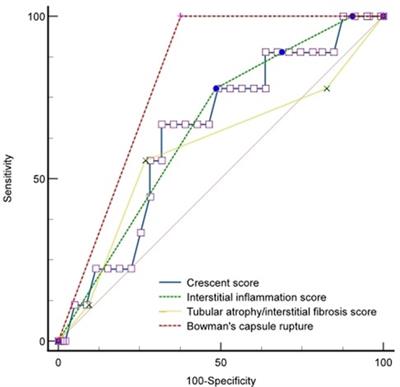 Crescentic glomerulonephritis in children: short-term follow-up predicts long-term outcome